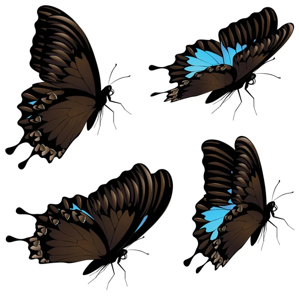 Ensemble Swallowtail de montagne — Image vectorielle