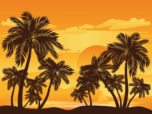 Gün batımında palmiye ağacı — Stok Vektör