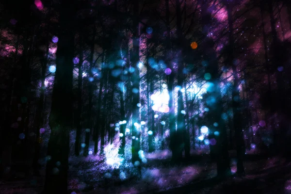 ファンタジーの星降る森 — ストック写真
