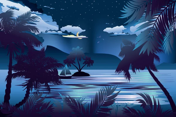 Tropický ostrov v noci — Stockový vektor