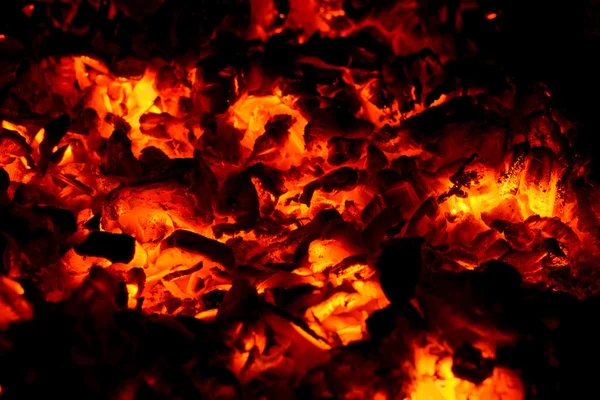Cinzas de Moldagem Macro — Fotografia de Stock