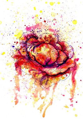 Renkli lahana suluboya