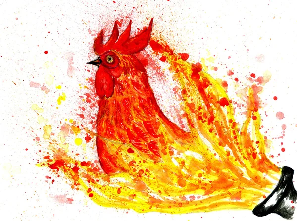 Fancy Rooster Art — Stock Photo, Image