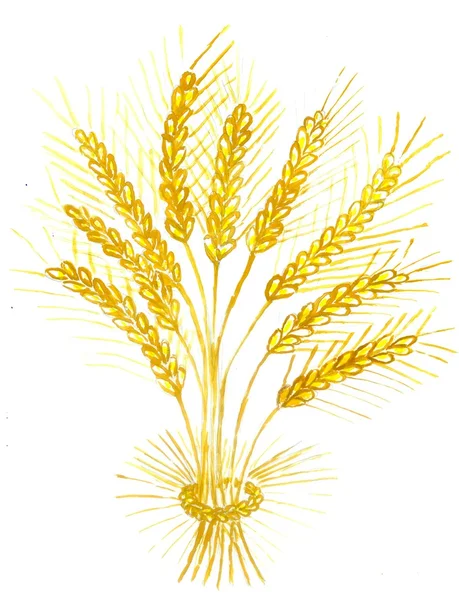 Уши искусства Wheat — стоковое фото