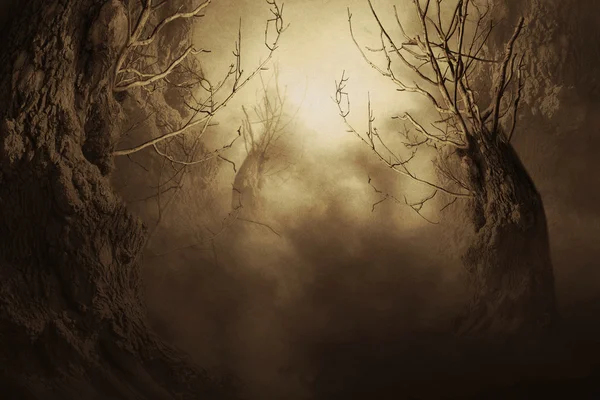 Spooky δέντρο στην ομίχλη το βράδυ — Φωτογραφία Αρχείου