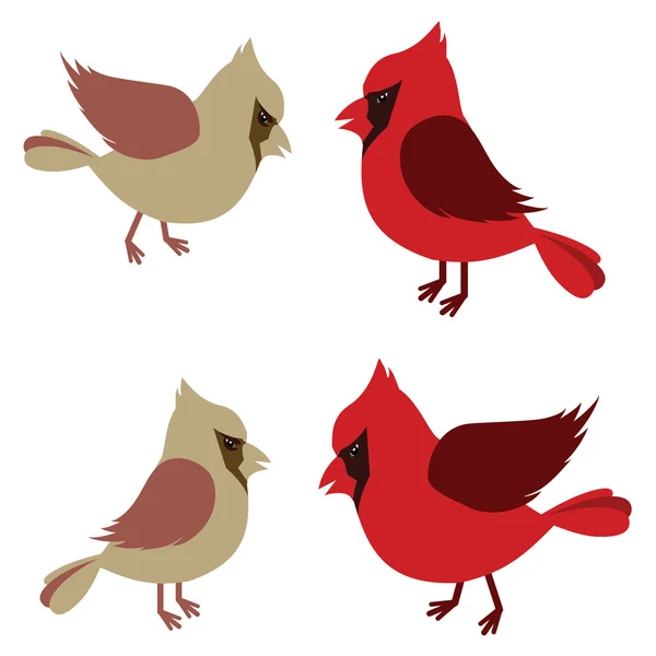 Pair of Northern Cardinals — Stock Vector