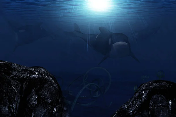 Dark blue underwater scene with 3d rendered orca, killer whale. 3d digital illustration