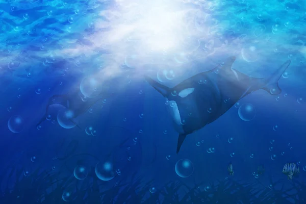 Dark blue underwater scene with 3d rendered orca, killer whale. 3d digital illustration