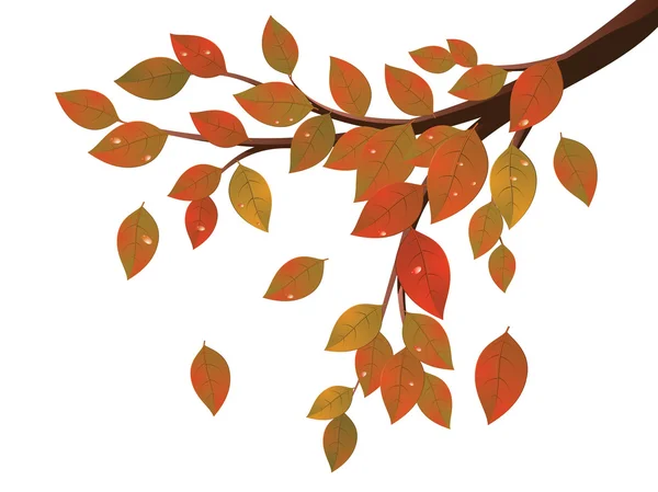 Fall Leaves on Branch — Stock Vector