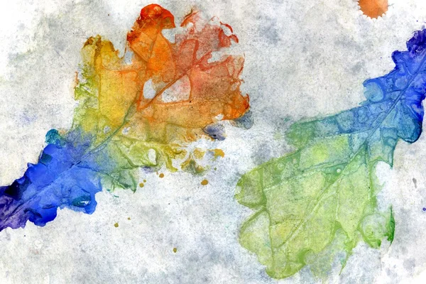 Renkli Meşe yaprağı — Stok fotoğraf