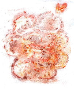 boyalı turuncu gül