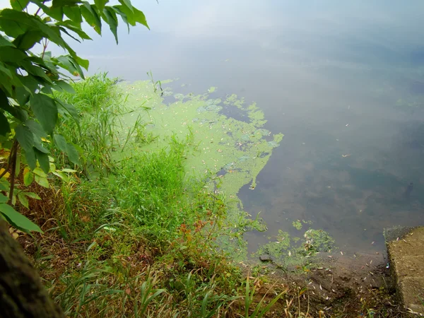 Sungai musim gugur — Stok Foto