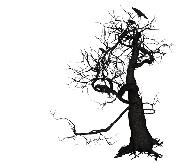 Crow Tree — Zdjęcie stockowe