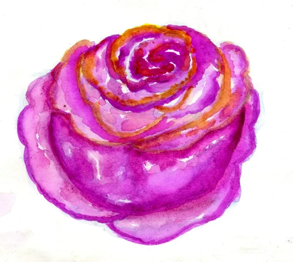 Rosa pintada — Fotografia de Stock