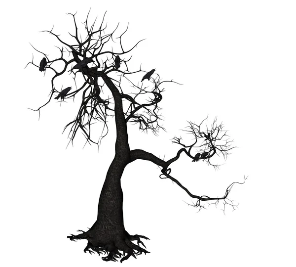 Crow δέντρο — Φωτογραφία Αρχείου