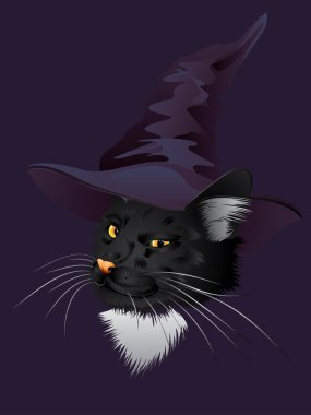 Kitty cadı