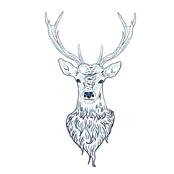 Deer Head — Stock Vector