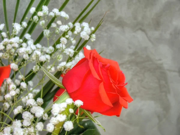 Strauß mit roten Rosen — Stockfoto