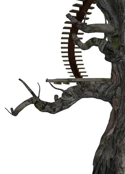 Дерево с лестницами — стоковое фото