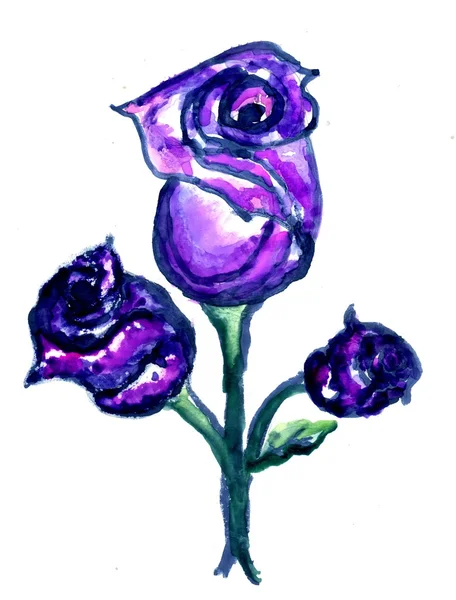 Rosa pintada —  Fotos de Stock
