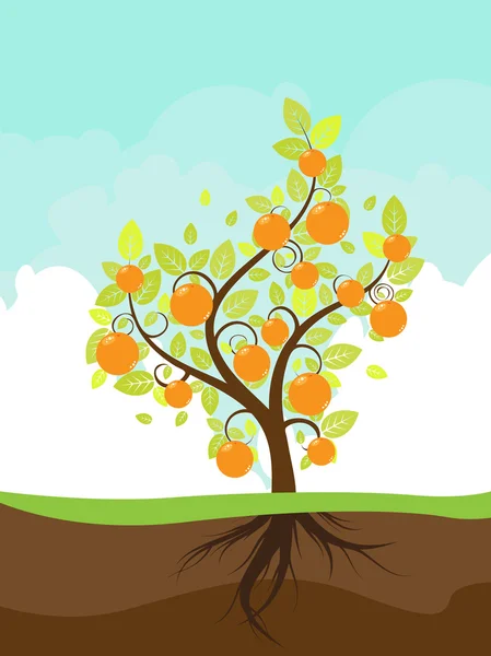 Árvore de laranja estilizada — Vetor de Stock