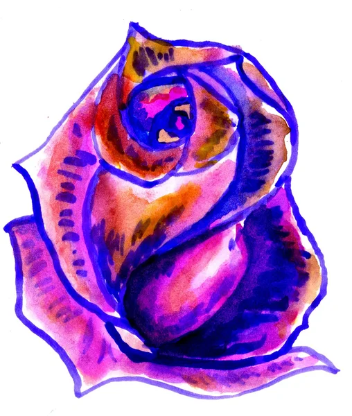 Barevná Malovaná růže — Stock fotografie