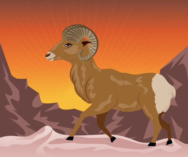 Wild Ram in the Mountains — Stock Vector