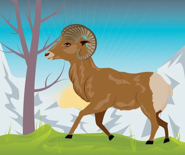 Wild Ram in de bergen — Stockvector