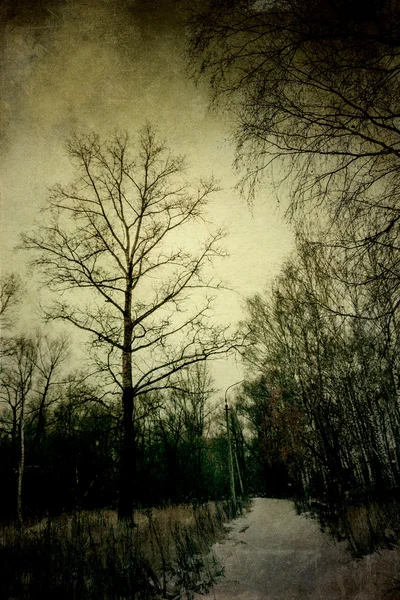 Parc d'hiver Grunge — Photo