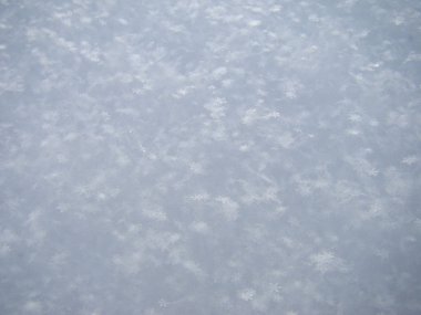 Taze kar dokusu