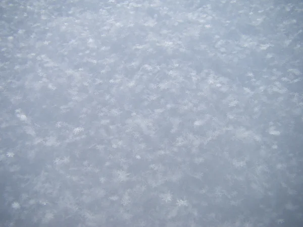 Fresh Snow Texture — Stock Photo, Image