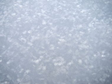 Taze kar dokusu