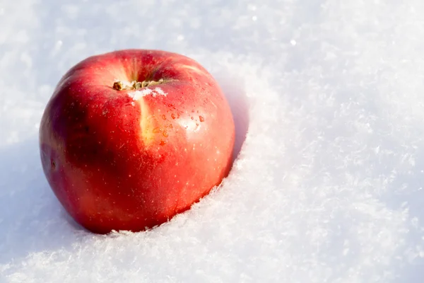 Красное яблоко на снегу — стоковое фото