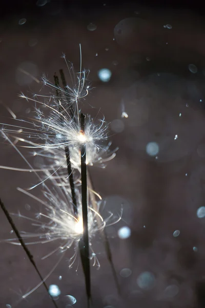 線香花火と雪 — ストック写真