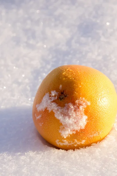 Laranja na neve — Fotografia de Stock