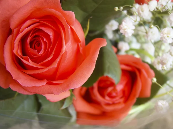 Rosen in einem Strauß — Stockfoto