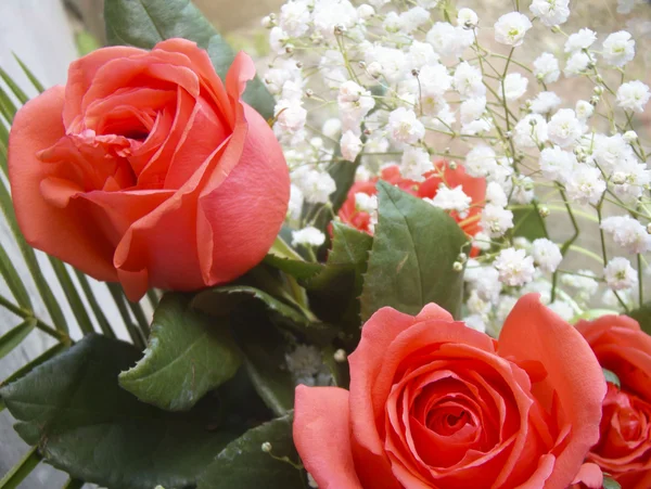 Rosas en un ramo — Foto de Stock