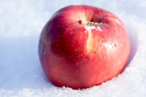 Красное яблоко на снегу — стоковое фото