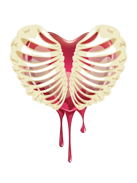 Rode bloeden hart in Thorax — Stockvector