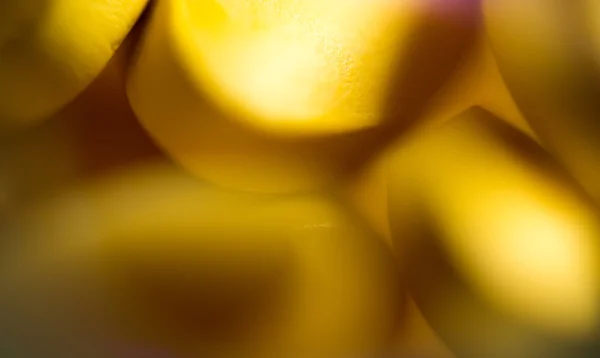 黄丸 — 图库照片