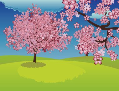 ' In bahçesinde çiçek açan Sakura ağacı