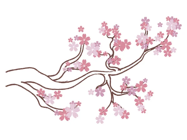 Branche de sakura en fleurs — Image vectorielle