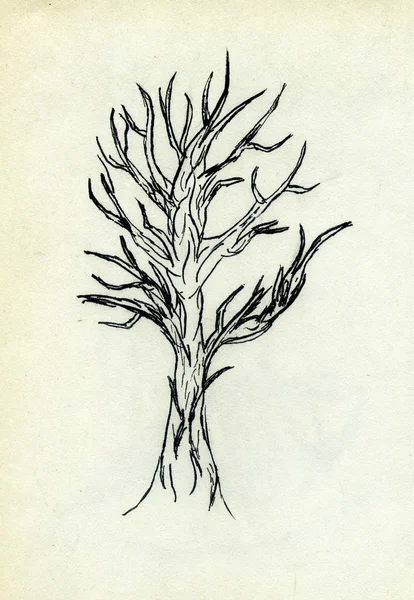 Tree Doodle — Stock Photo, Image