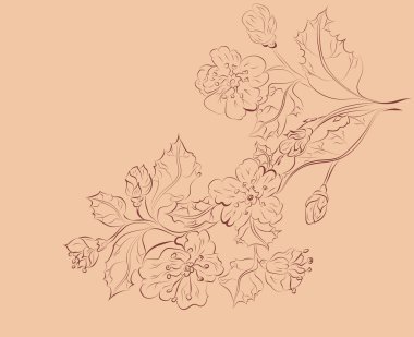 Kroki Sakura Şubesi