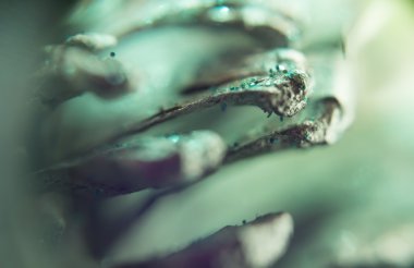 Supermacro Noel süslemeleri