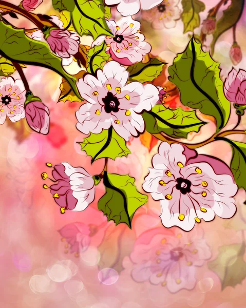 夢のような桜 — ストック写真