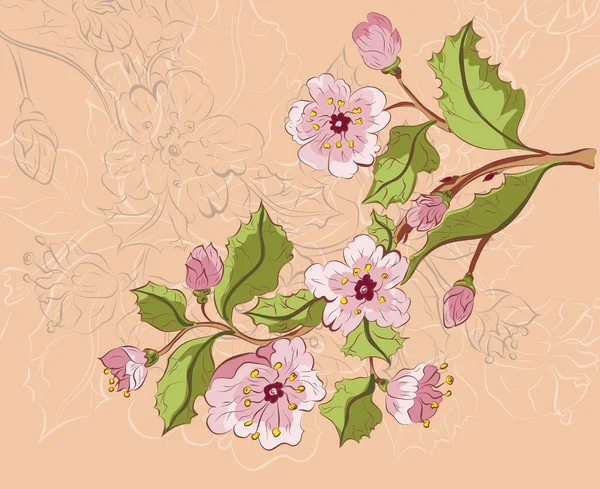 Dibujo de color de Sakura Branch — Vector de stock