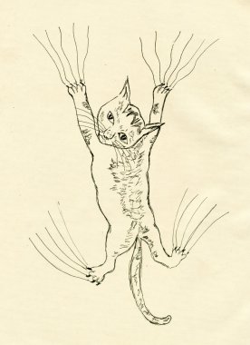 Yavru kedi tırmalamak kroki