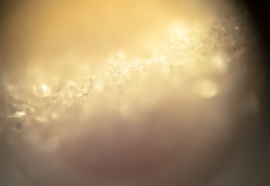 Şeker Crystal makro