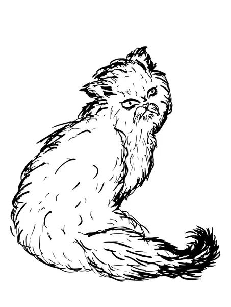 Bosquejo de gato persa — Vector de stock